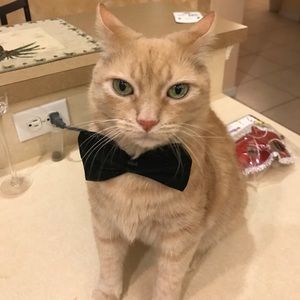 Meet your Posher, Valerie